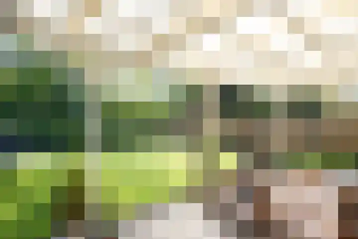 Kuifmees 23 Emmen thumbnail 24
