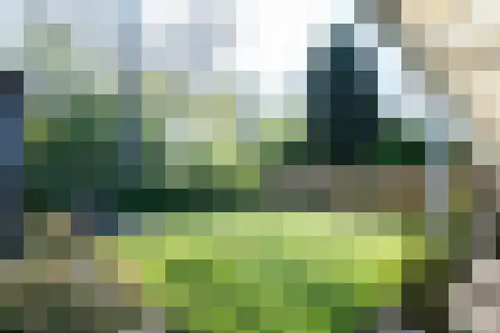 Kuifmees 23 Emmen thumbnail 25