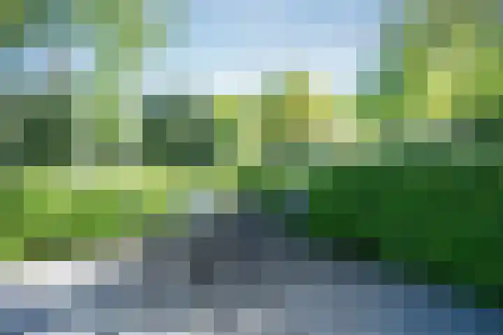 Kuifmees 23 Emmen thumbnail 28