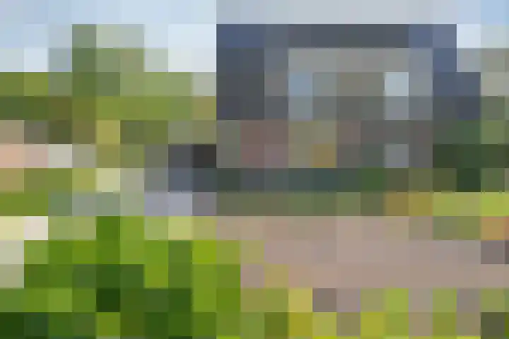 Kuifmees 23 Emmen thumbnail 31