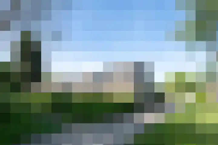 Kuifmees 23 Emmen thumbnail 33