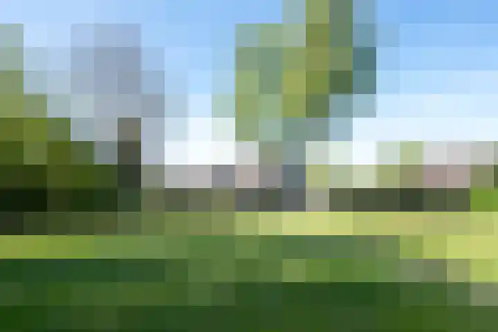 Kuifmees 23 Emmen thumbnail 34