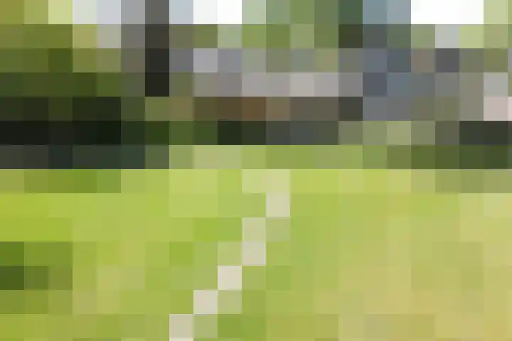 Kuifmees 23 Emmen thumbnail 35