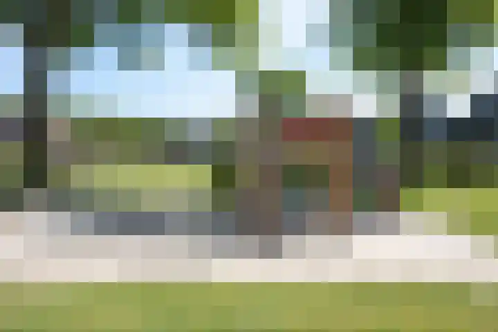Kuifmees 23 Emmen thumbnail 36