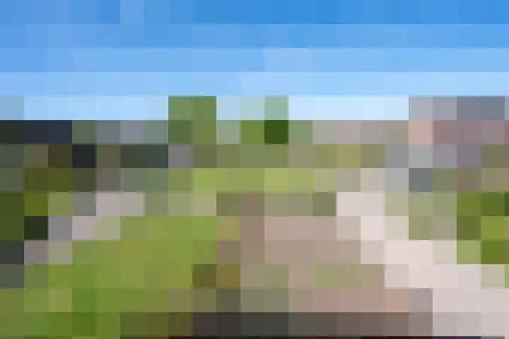 Kuifmees 23 Emmen thumbnail 37