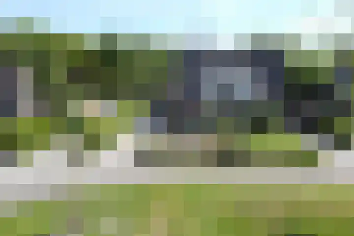 Kuifmees 23 Emmen thumbnail 39
