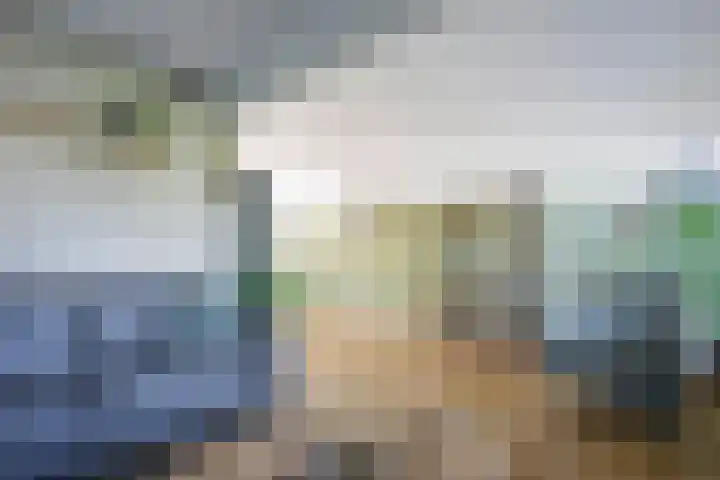 Kuifmees 23 Emmen thumbnail 4