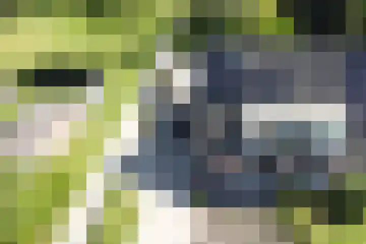 Kuifmees 23 Emmen thumbnail 41