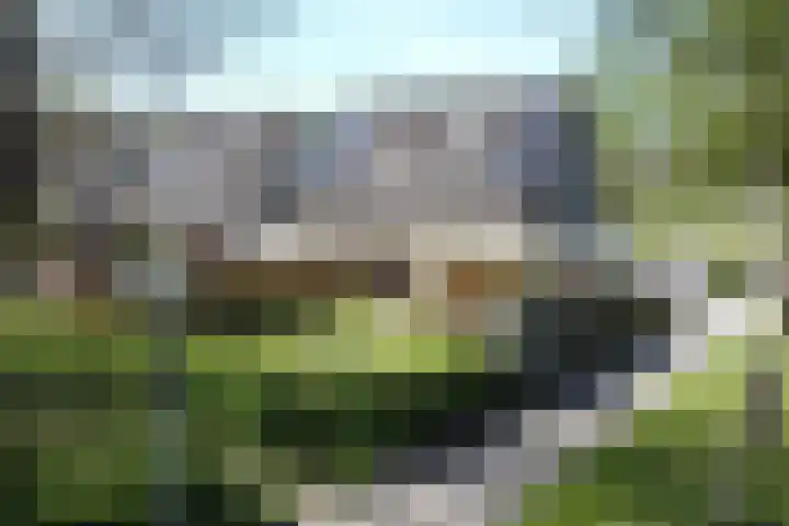 Kuifmees 23 Emmen thumbnail 42
