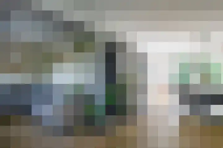 Kuifmees 23 Emmen thumbnail 5