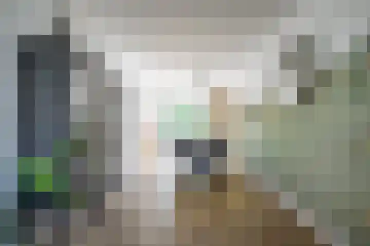 Kuifmees 23 Emmen thumbnail 6