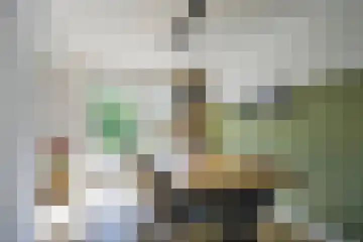 Kuifmees 23 Emmen thumbnail 7