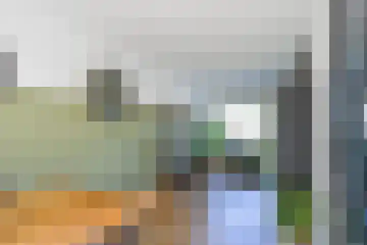 Kuifmees 23 Emmen thumbnail 8