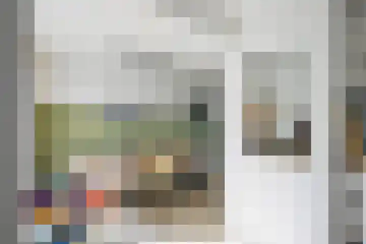 Kuifmees 23 Emmen thumbnail 9