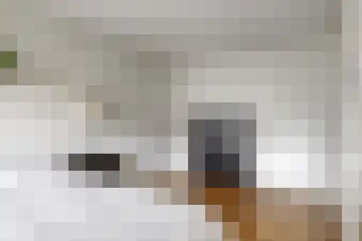 Kuifmees 23 Uithoorn thumbnail 13