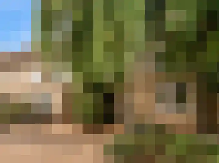 Kuifmees 23 Uithoorn thumbnail 15