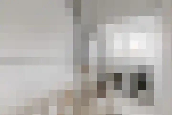 Kuifmees 23 Uithoorn thumbnail 17