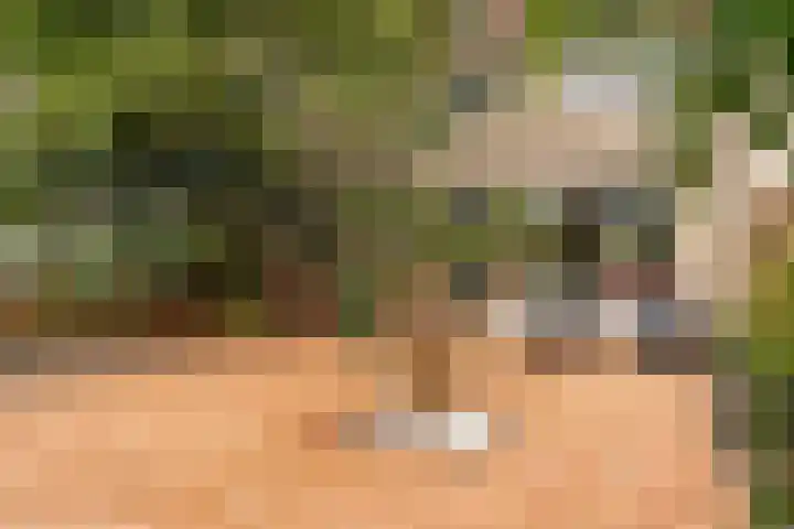 Kuifmees 23 Uithoorn thumbnail 23