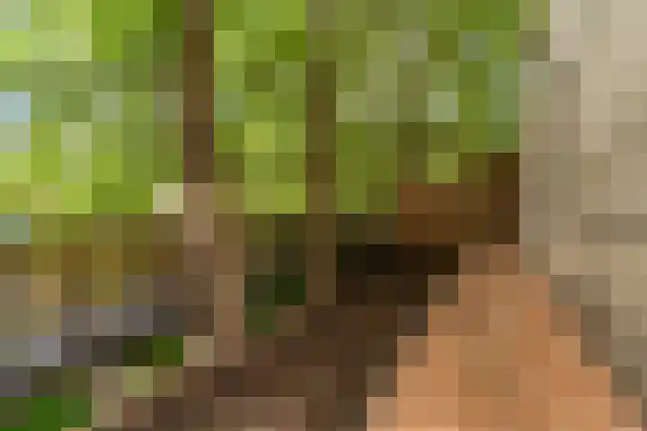 Kuifmees 23 Uithoorn thumbnail 24