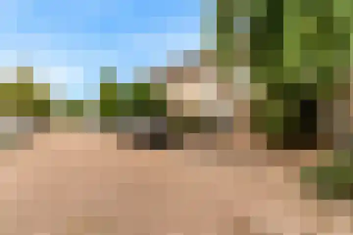 Kuifmees 23 Uithoorn thumbnail 25
