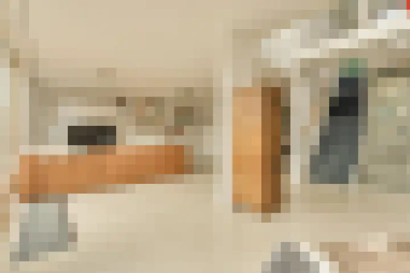Kuifmees 28 Uithoorn thumbnail 15