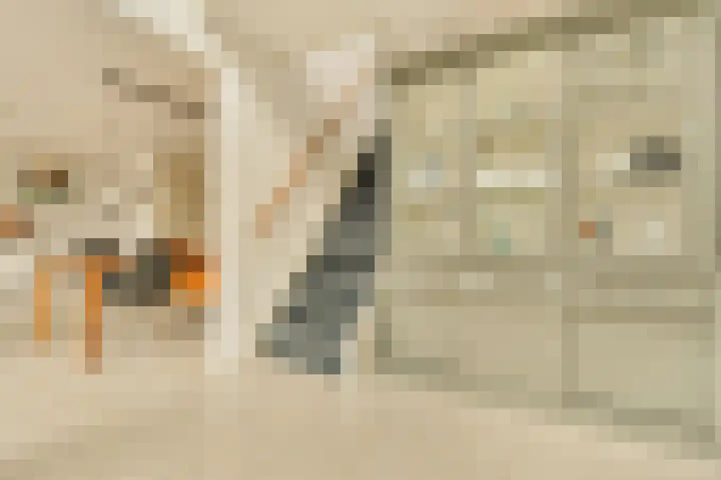Kuifmees 28 Uithoorn thumbnail 16