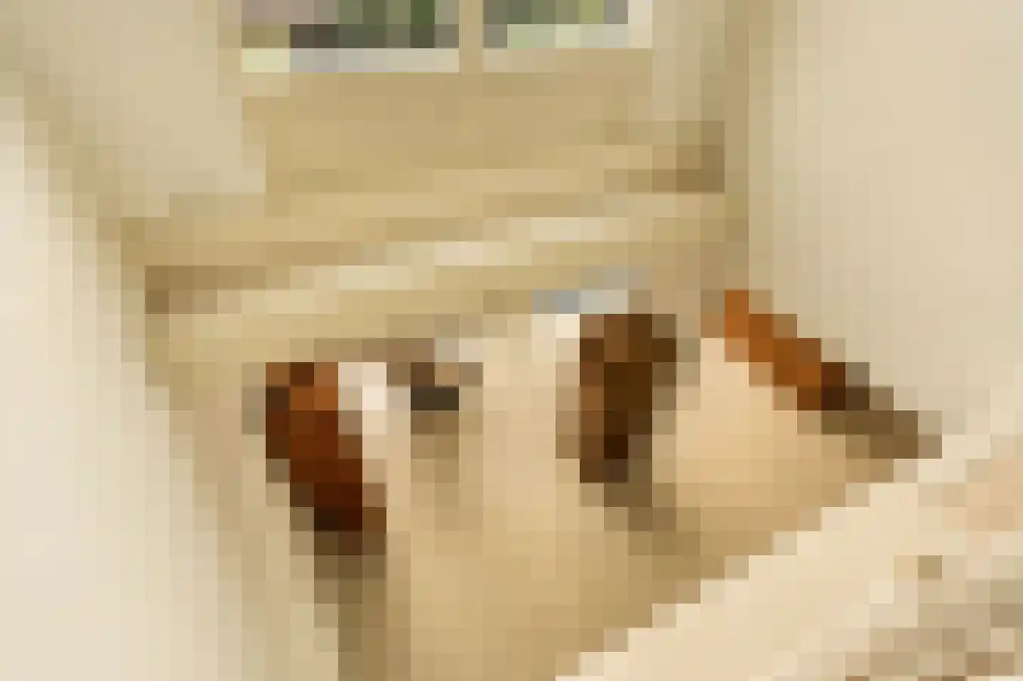 Kuifmees 28 Uithoorn thumbnail 20