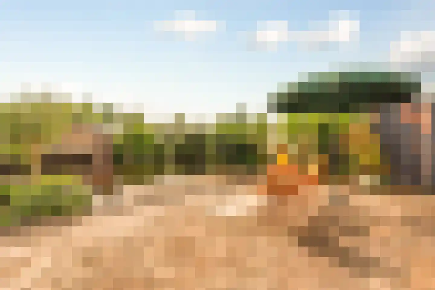 Kuifmees 28 Uithoorn thumbnail 26