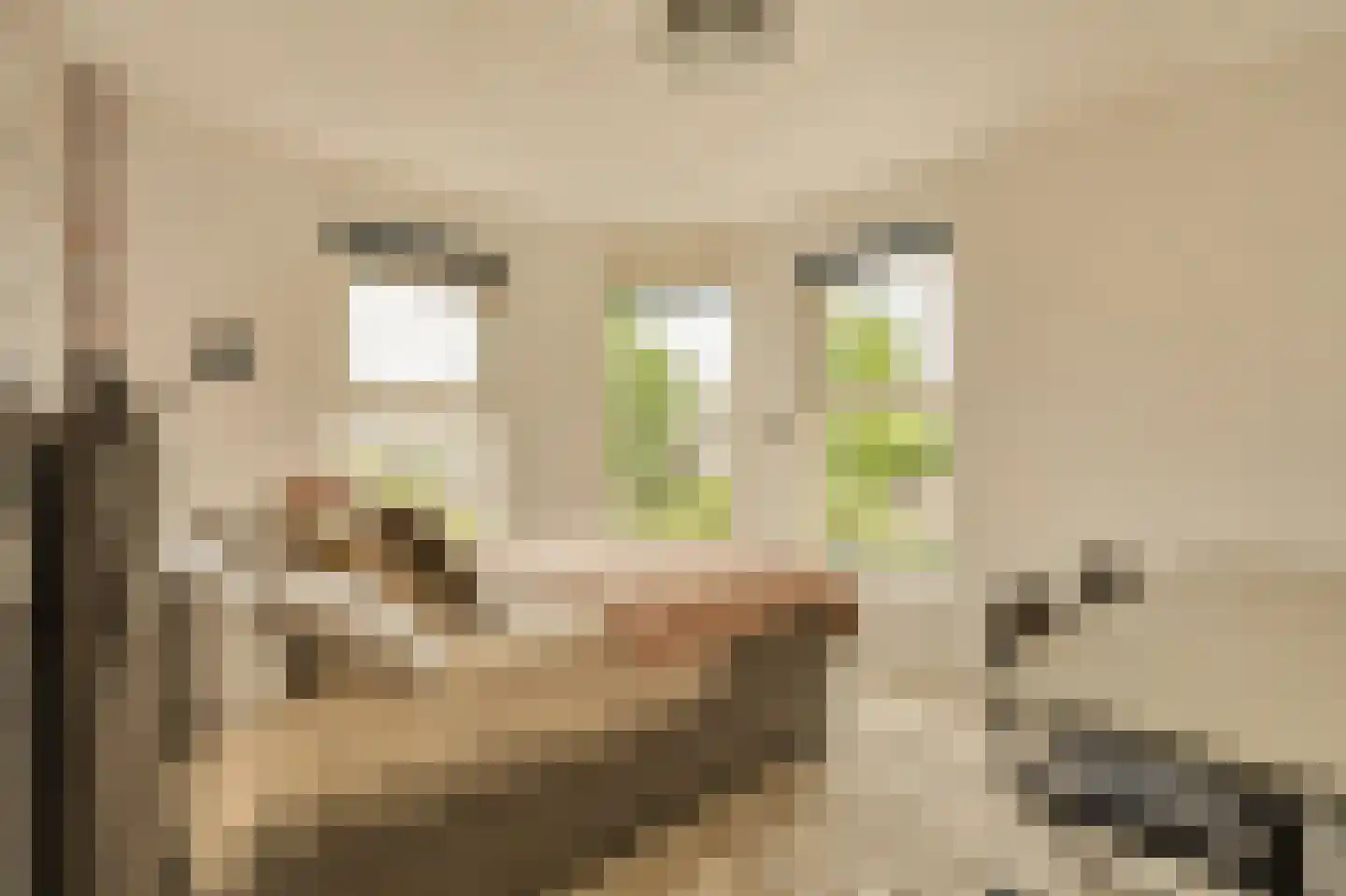 Kuifmees 28 Uithoorn thumbnail 33