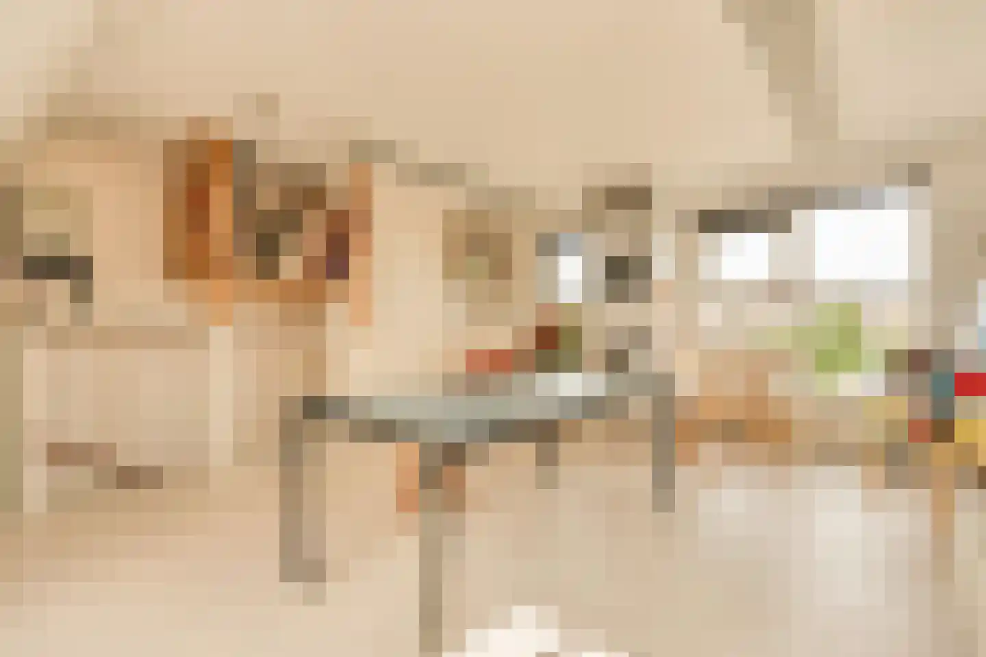 Kuifmees 28 Uithoorn thumbnail 39