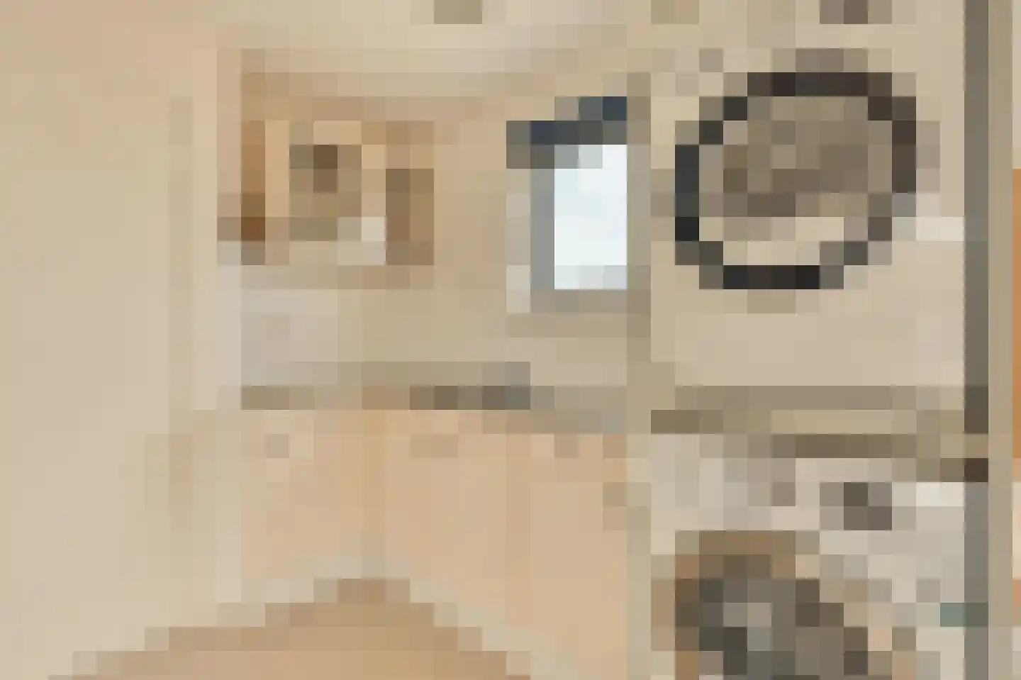Kuifmees 28 Uithoorn thumbnail 40
