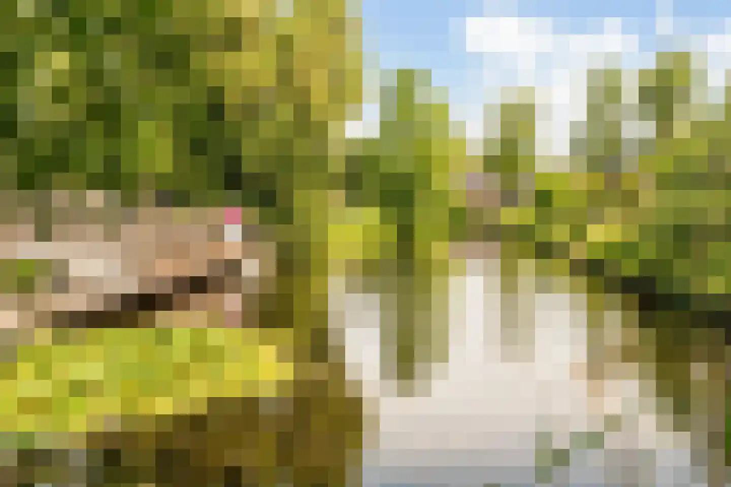 Kuifmees 28 Uithoorn thumbnail 45
