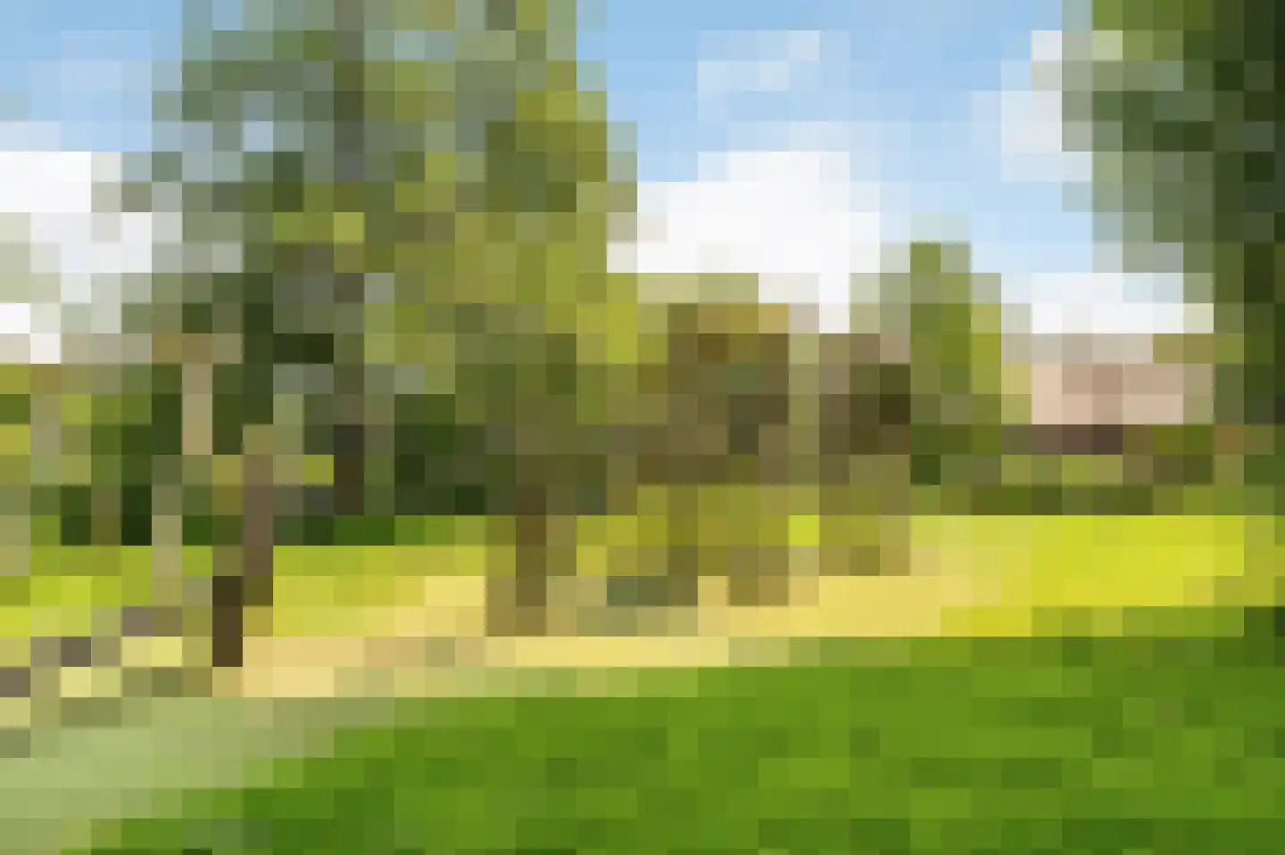 Kuifmees 28 Uithoorn thumbnail 49