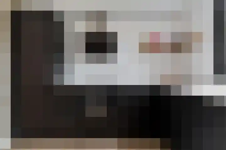 Kuifmees 38 Emmen thumbnail 10