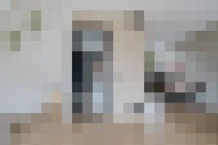 Kuifmees 38 Emmen thumbnail 11