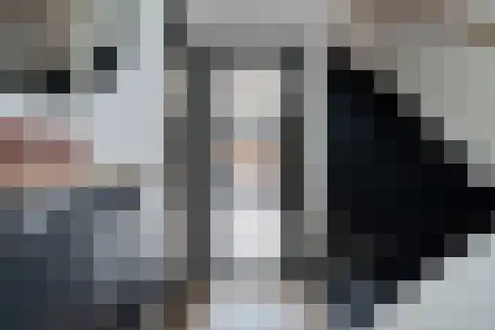 Kuifmees 38 Emmen thumbnail 13