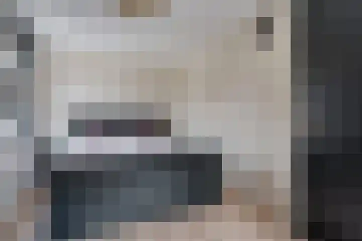 Kuifmees 38 Emmen thumbnail 14