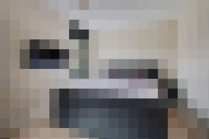 Kuifmees 38 Emmen thumbnail 15