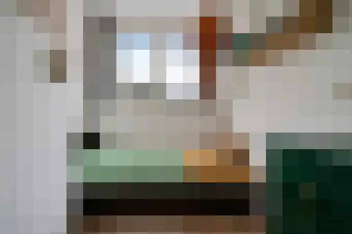 Kuifmees 38 Emmen thumbnail 18