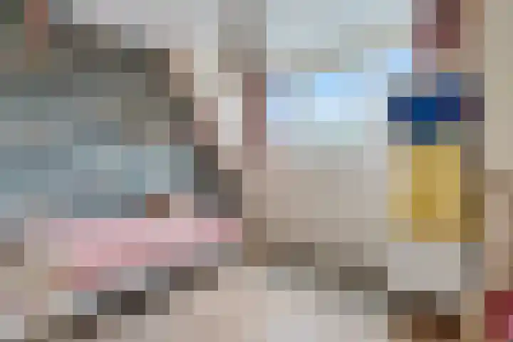 Kuifmees 38 Emmen thumbnail 20