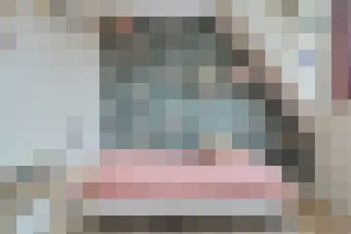 Kuifmees 38 Emmen thumbnail 21