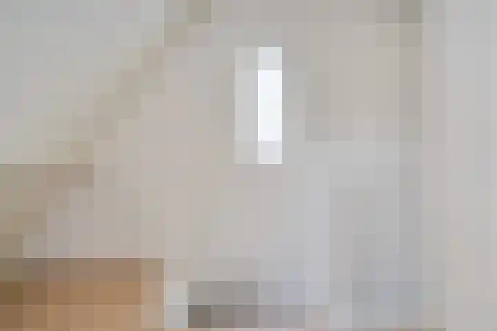 Kuifmees 38 Emmen thumbnail 28