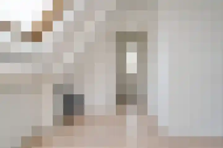 Kuifmees 38 Emmen thumbnail 32
