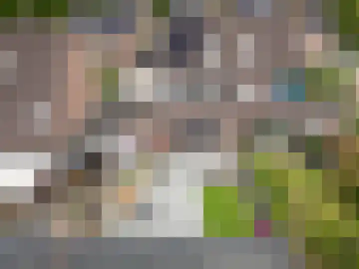 Kuifmees 38 Emmen thumbnail 33
