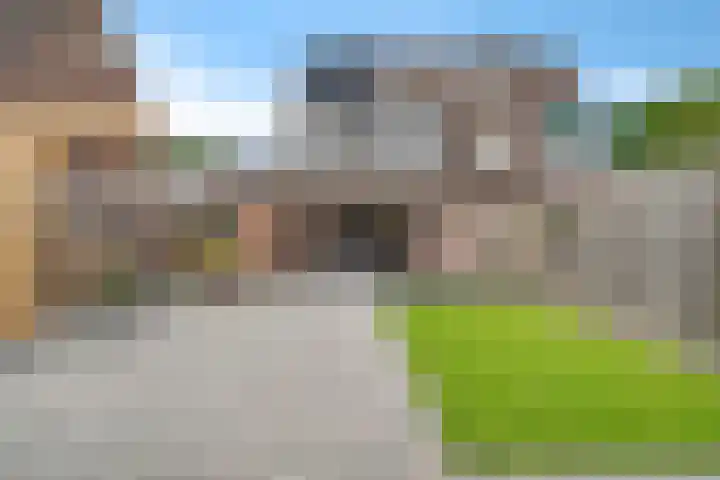 Kuifmees 38 Emmen thumbnail 34