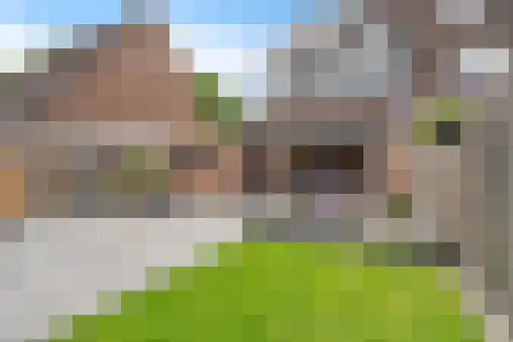 Kuifmees 38 Emmen thumbnail 35