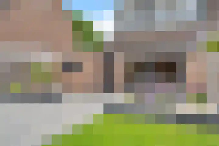 Kuifmees 38 Emmen thumbnail 36