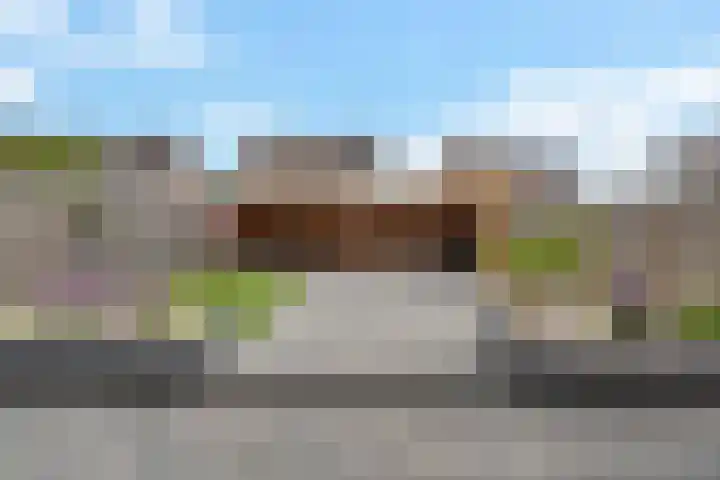 Kuifmees 38 Emmen thumbnail 37