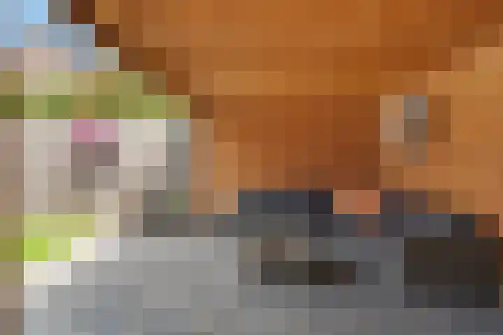 Kuifmees 38 Emmen thumbnail 39