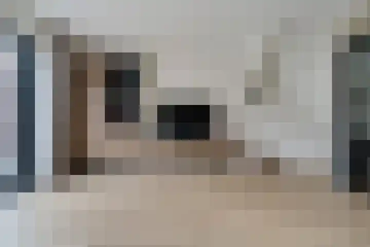 Kuifmees 38 Emmen thumbnail 4